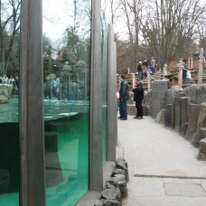 ZOO Praha - sloupy opěrné z nerezové oceli - vodní nádrž s lachtany 02